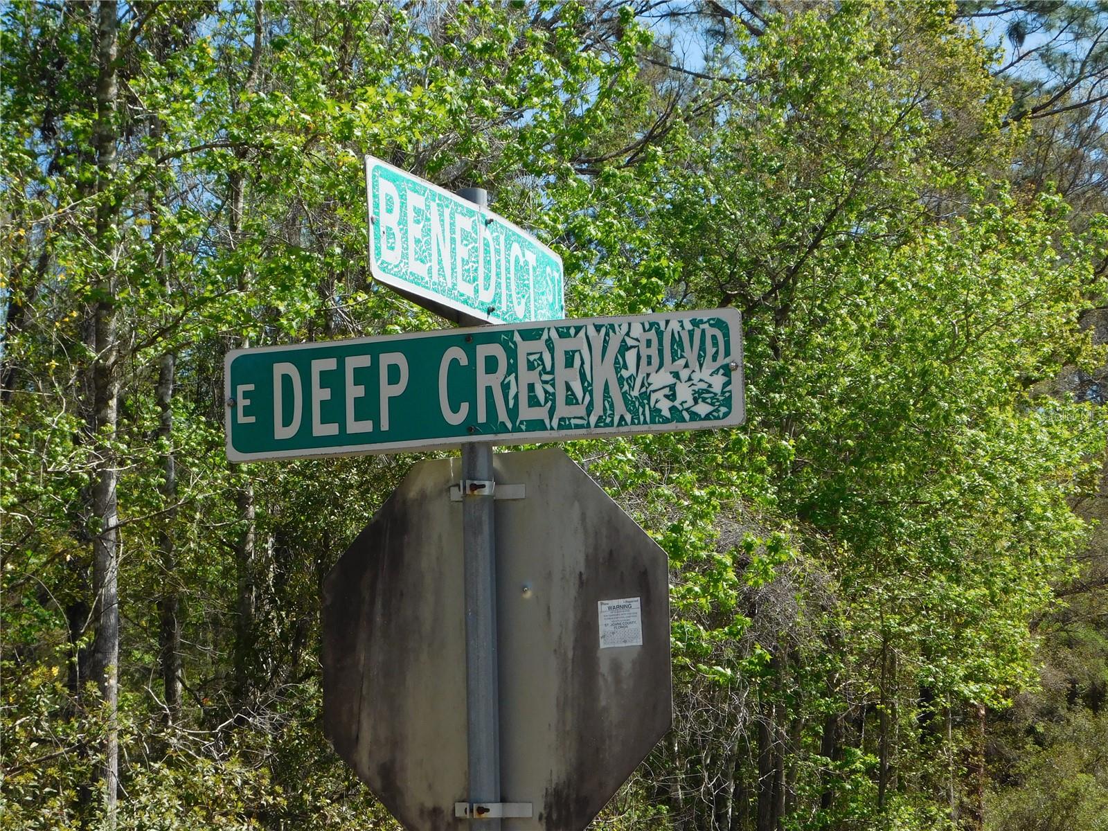 FLAGLER ESTATES 459 - Land