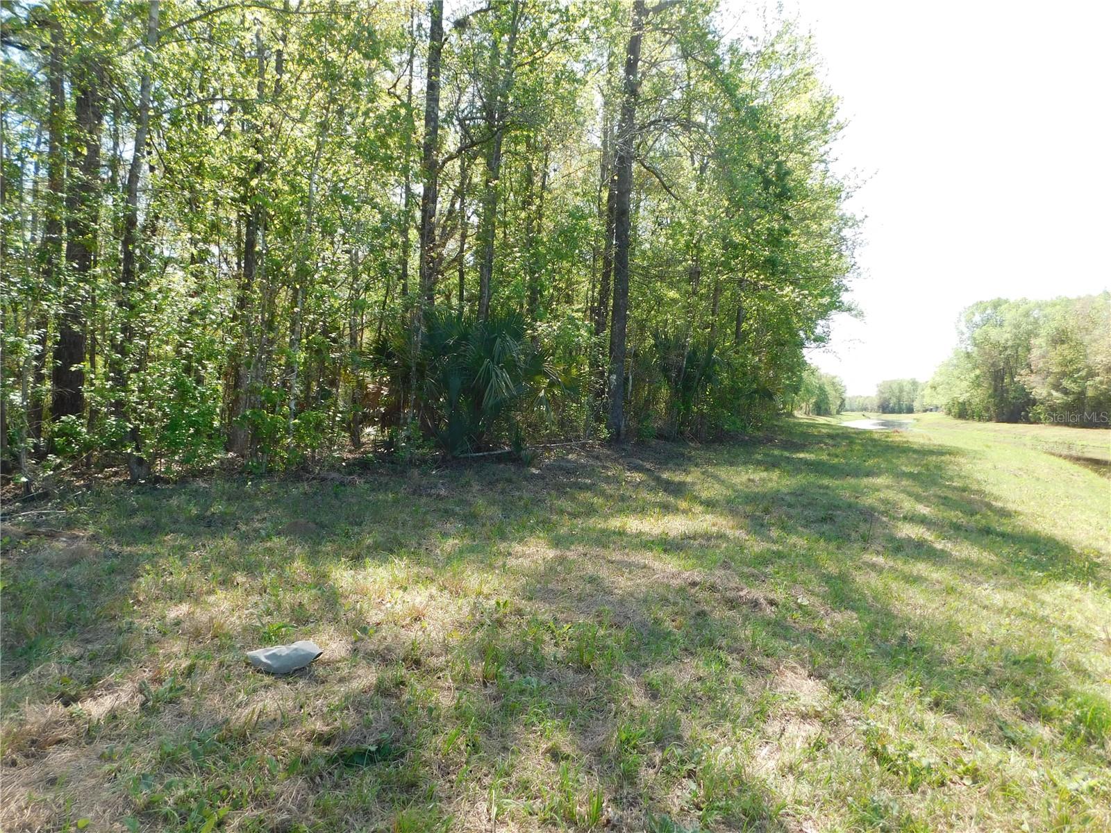 FLAGLER ESTATES 459 - Land