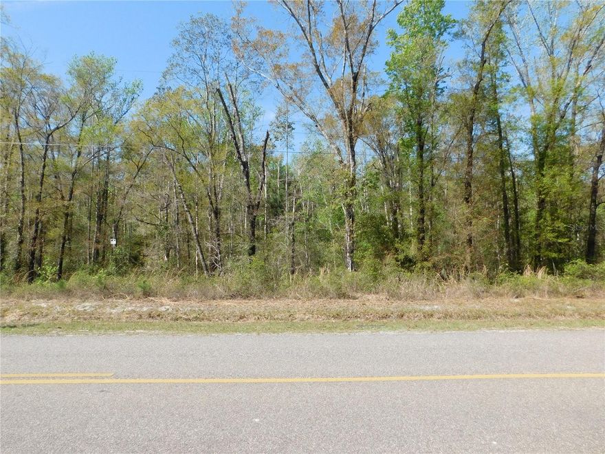 This 1.51 acre lot backs onto the creek which means no rear neighbors. Also, the north side of the property has no side neighbor as it boarders the undeveloped extension of Benedict St at the intersection of E Deep Creek Blvd, The dimensions of the property are 135x477x136x498. Most of the other lots in Flagler Estates are smaller, at 1.14 acre. No HOA fees to deal with. Prep a location for your home and bring in a new double wide Manufactured home or custom build your own design. Plus, you have plenty of room for for the addition of a garage, carport or a custom work shop. At the rear of the property within your lot line, you can create your own sitting area or gazebo and enjoy the creek view. The county mows the berm areas that encase the creek. The electric power supply is available from the power lines on the roadside. The other utilities would be your own septic system and your well for water. As of 3/12/2026, there are homes for sale in the community from $255,000 - $420,000. Recent sold homes range from $250,000 - $290,000. There is a limited supply of these larger homesites available, especially on the creek. Easy access to US-95 and route 1. Also, no HOA.