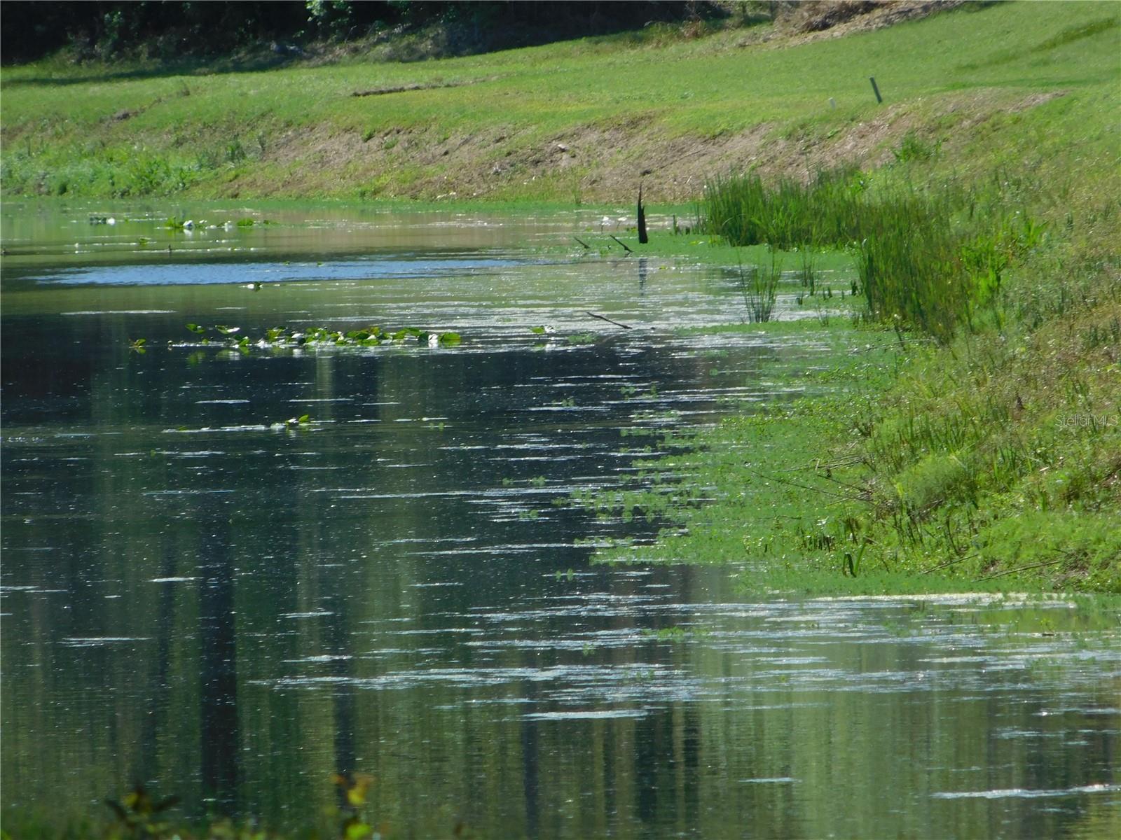 FLAGLER ESTATES 459 - Land