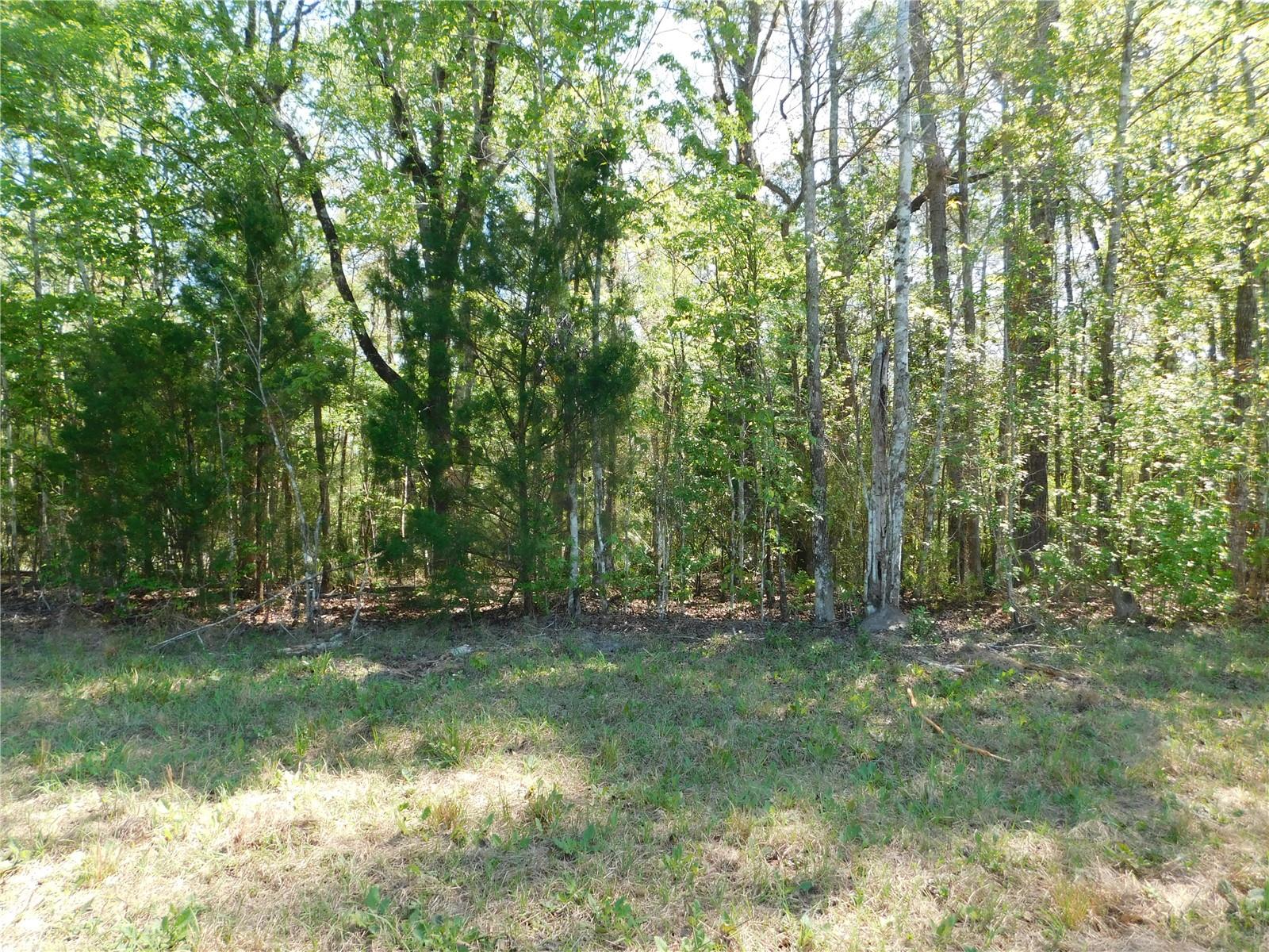 FLAGLER ESTATES 459 - Land