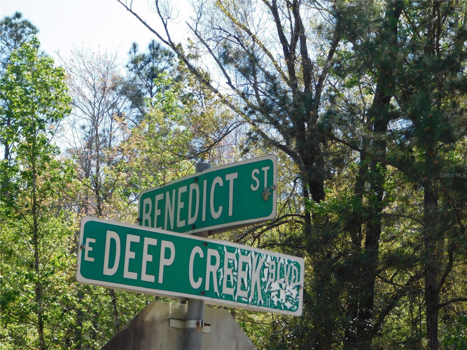 FLAGLER ESTATES 459 - Land