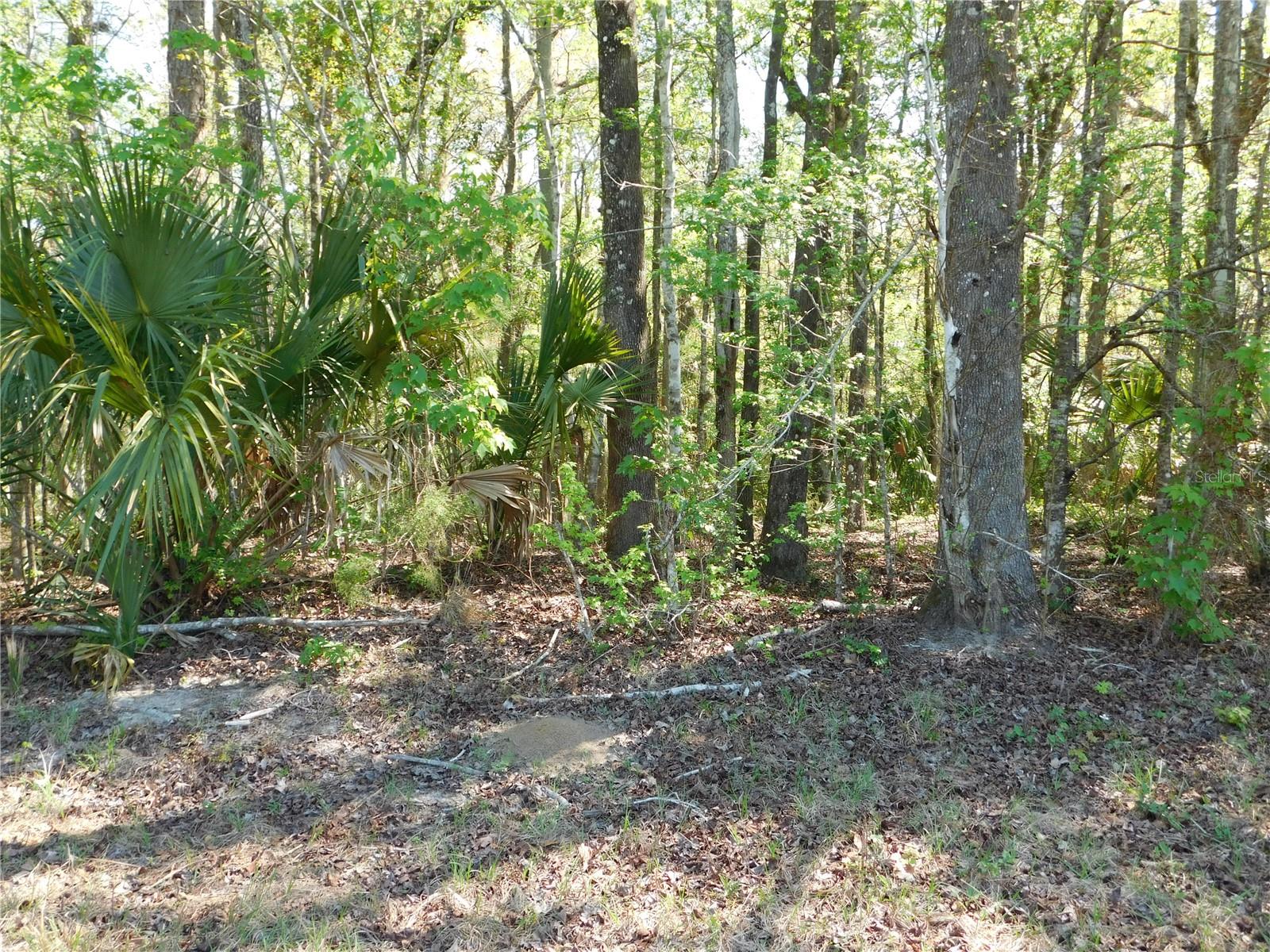 FLAGLER ESTATES 459 - Land