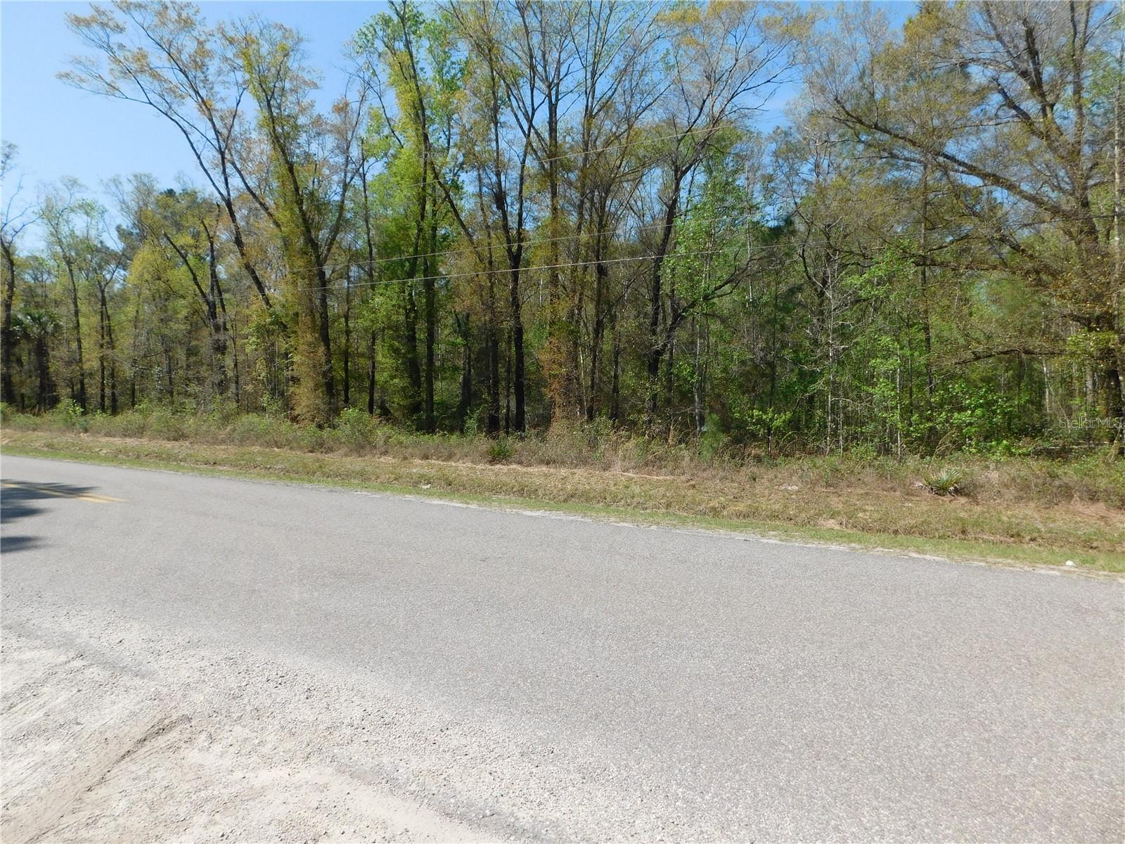 FLAGLER ESTATES 459 - Land