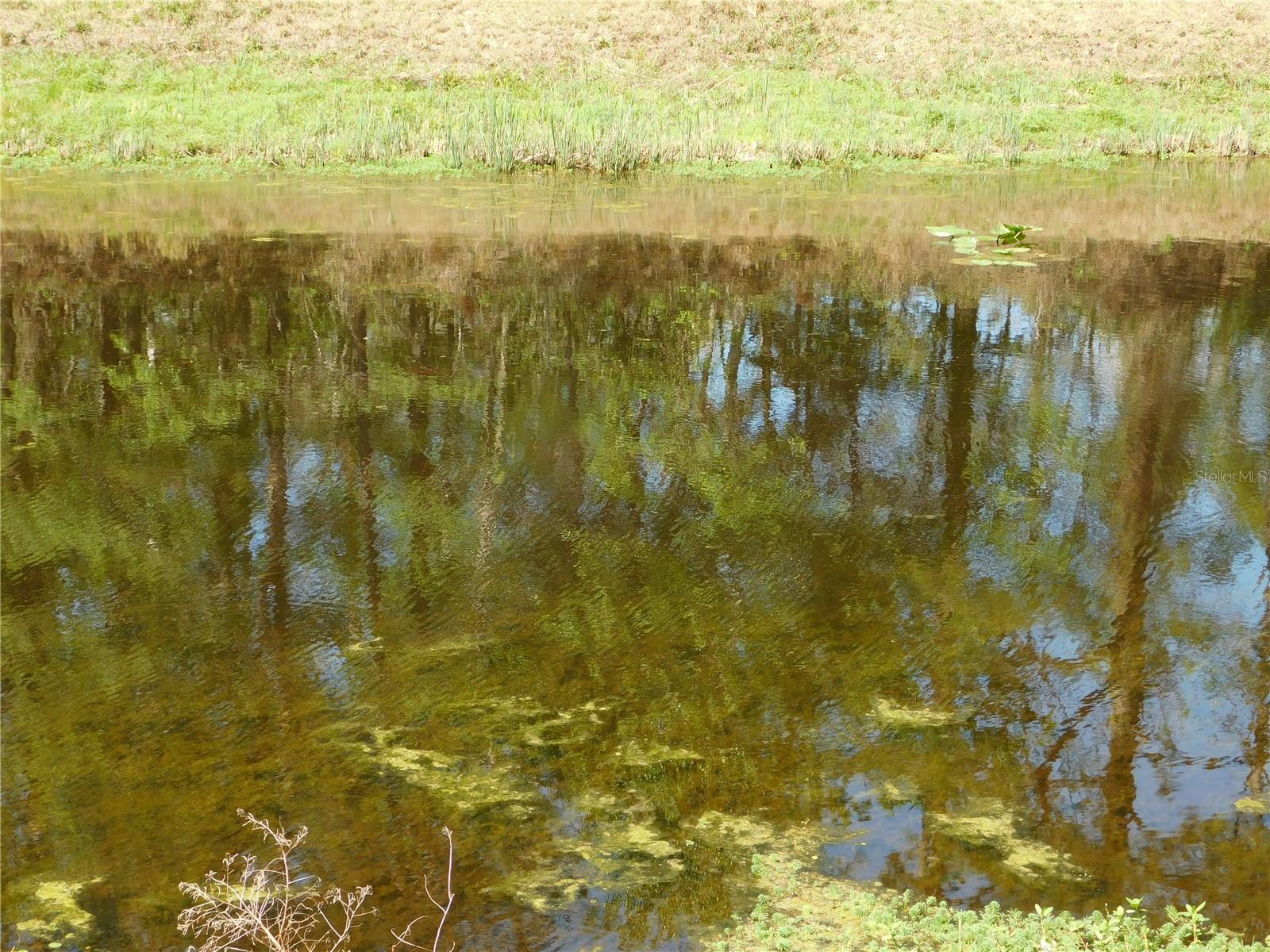 FLAGLER ESTATES 459 - Land