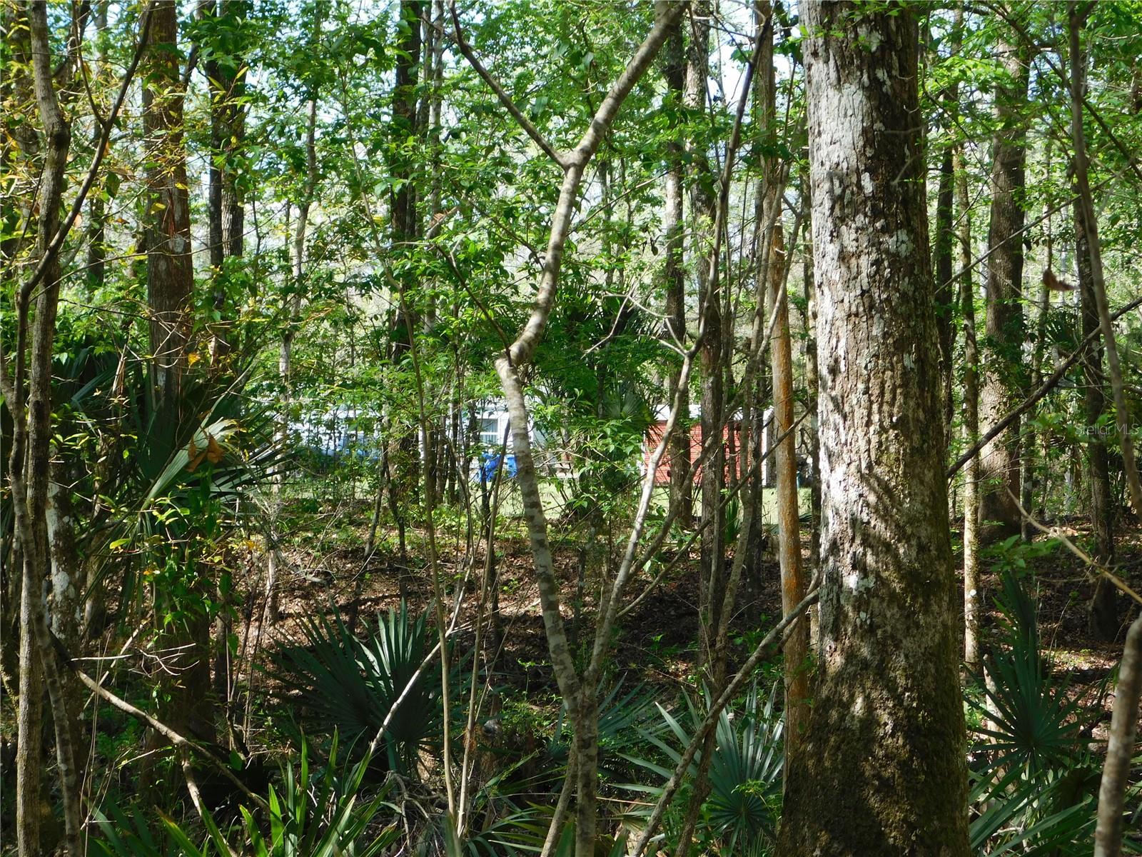 FLAGLER ESTATES 459 - Land