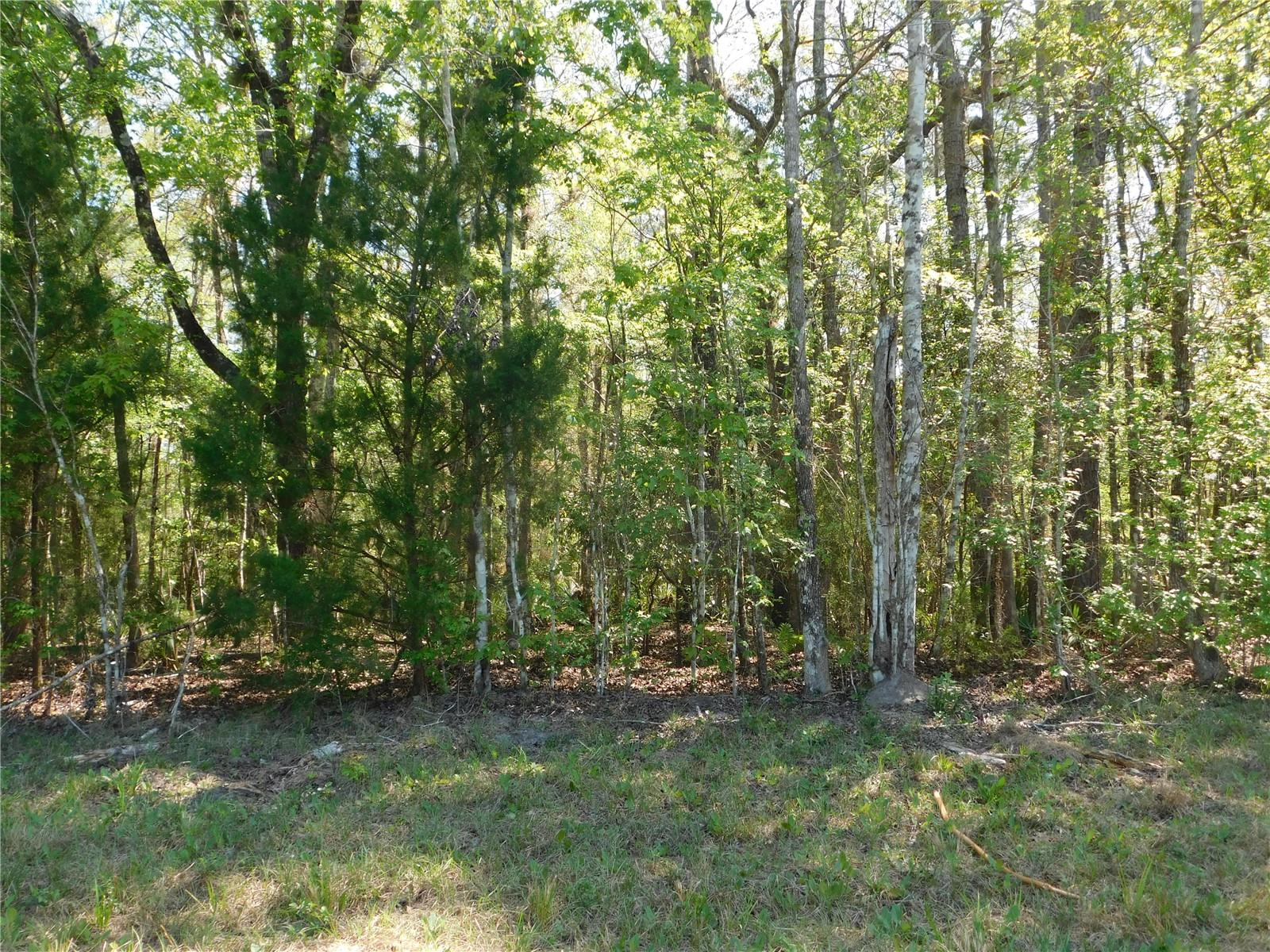 FLAGLER ESTATES 459 - Land