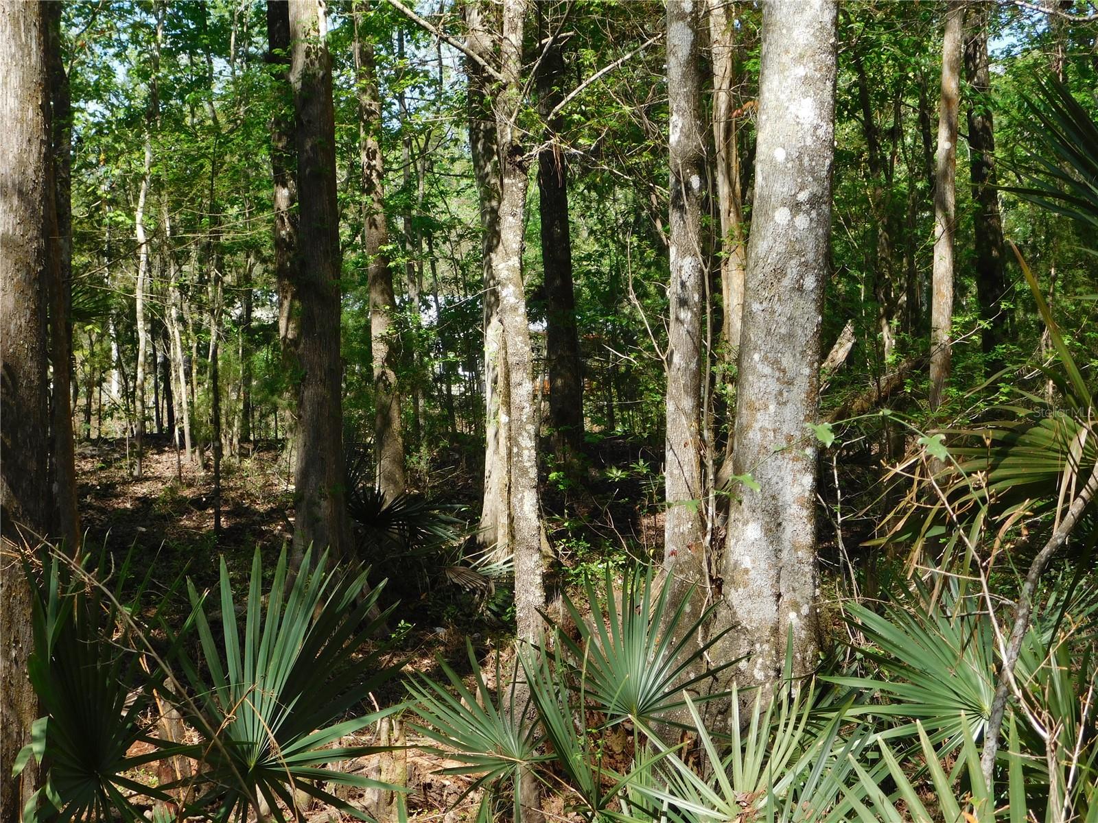 FLAGLER ESTATES 459 - Land