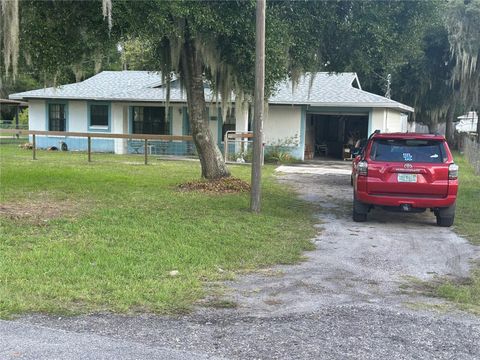 A home in LAKE PANASOFFKEE