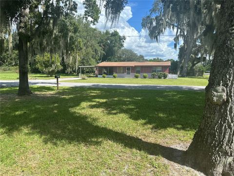 A home in LAKE PANASOFFKEE