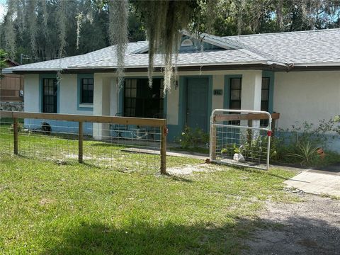 A home in LAKE PANASOFFKEE