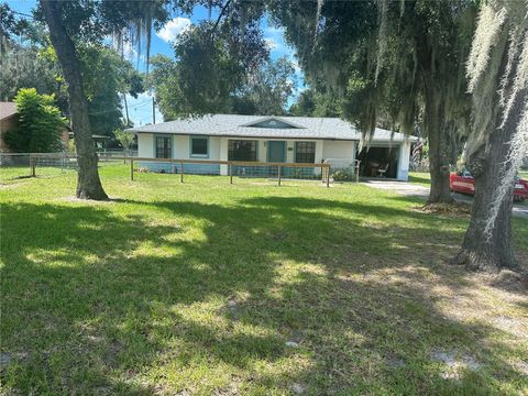 A home in LAKE PANASOFFKEE