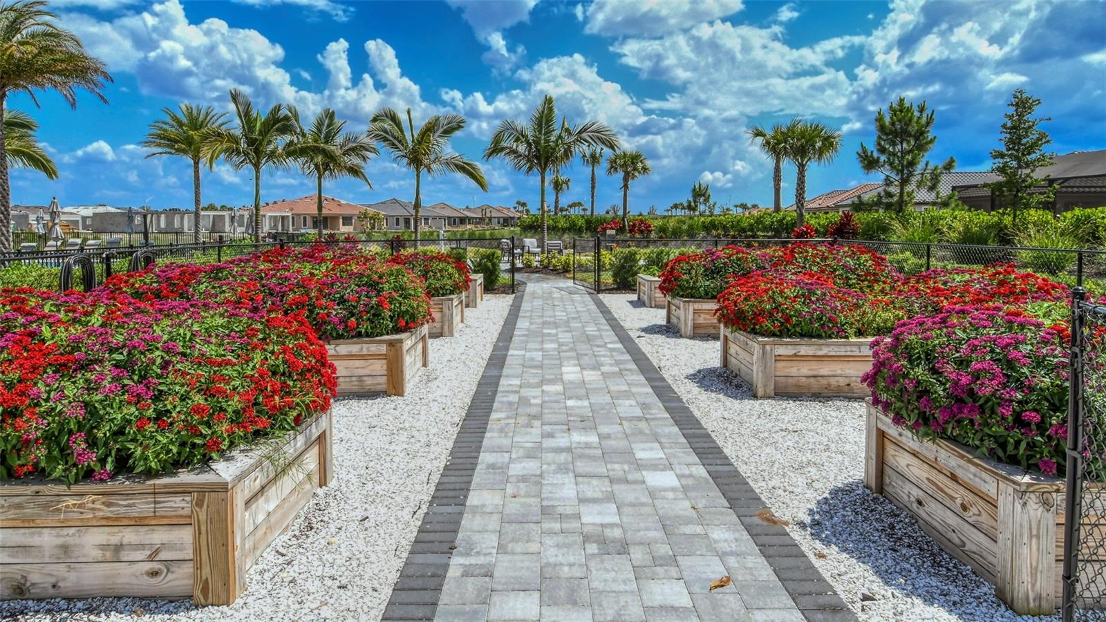 AZARIO ESPLANADE PH II SUBPH C-O - Residential