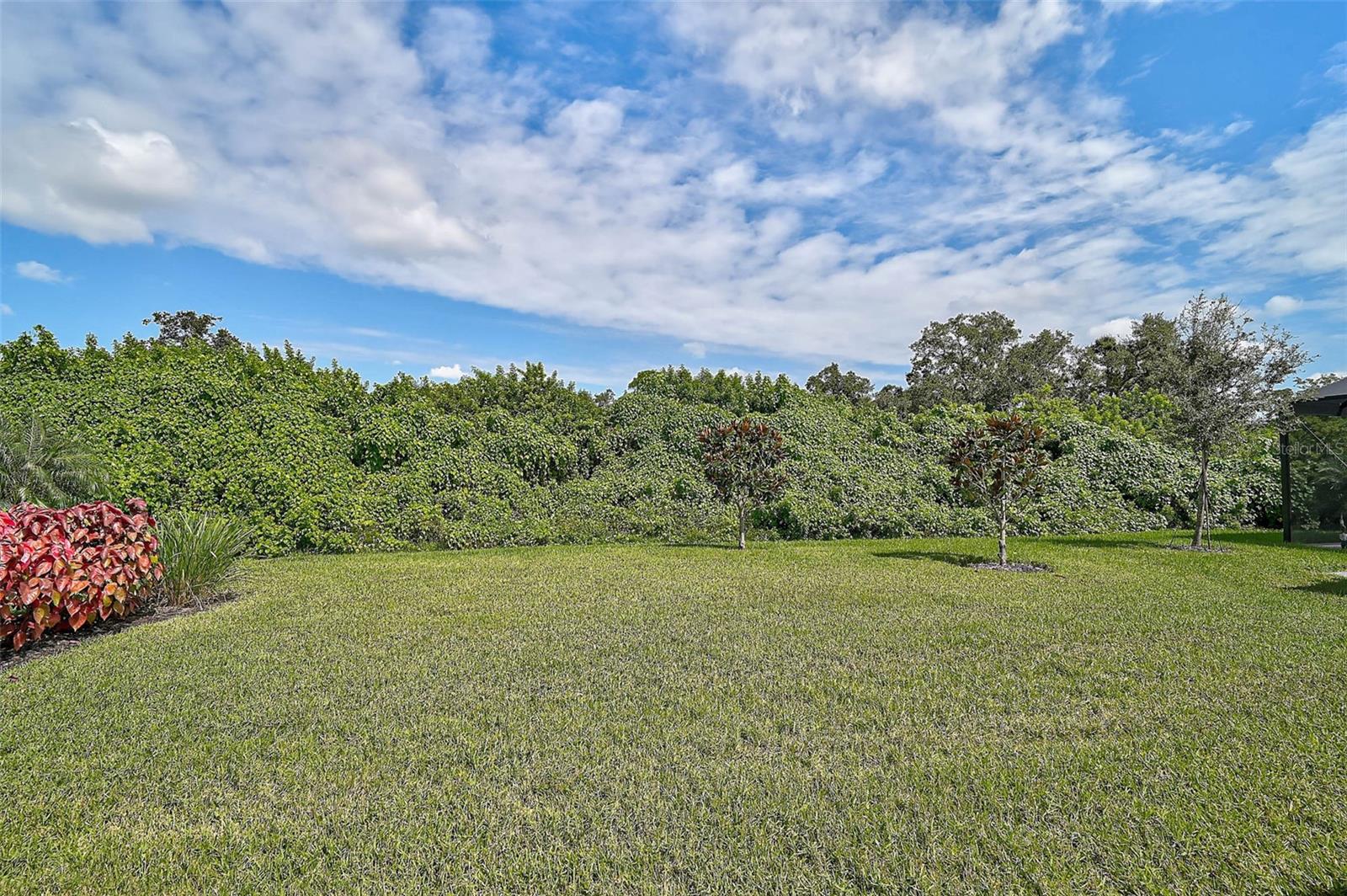 SUNRISE PRESERVE - Residential