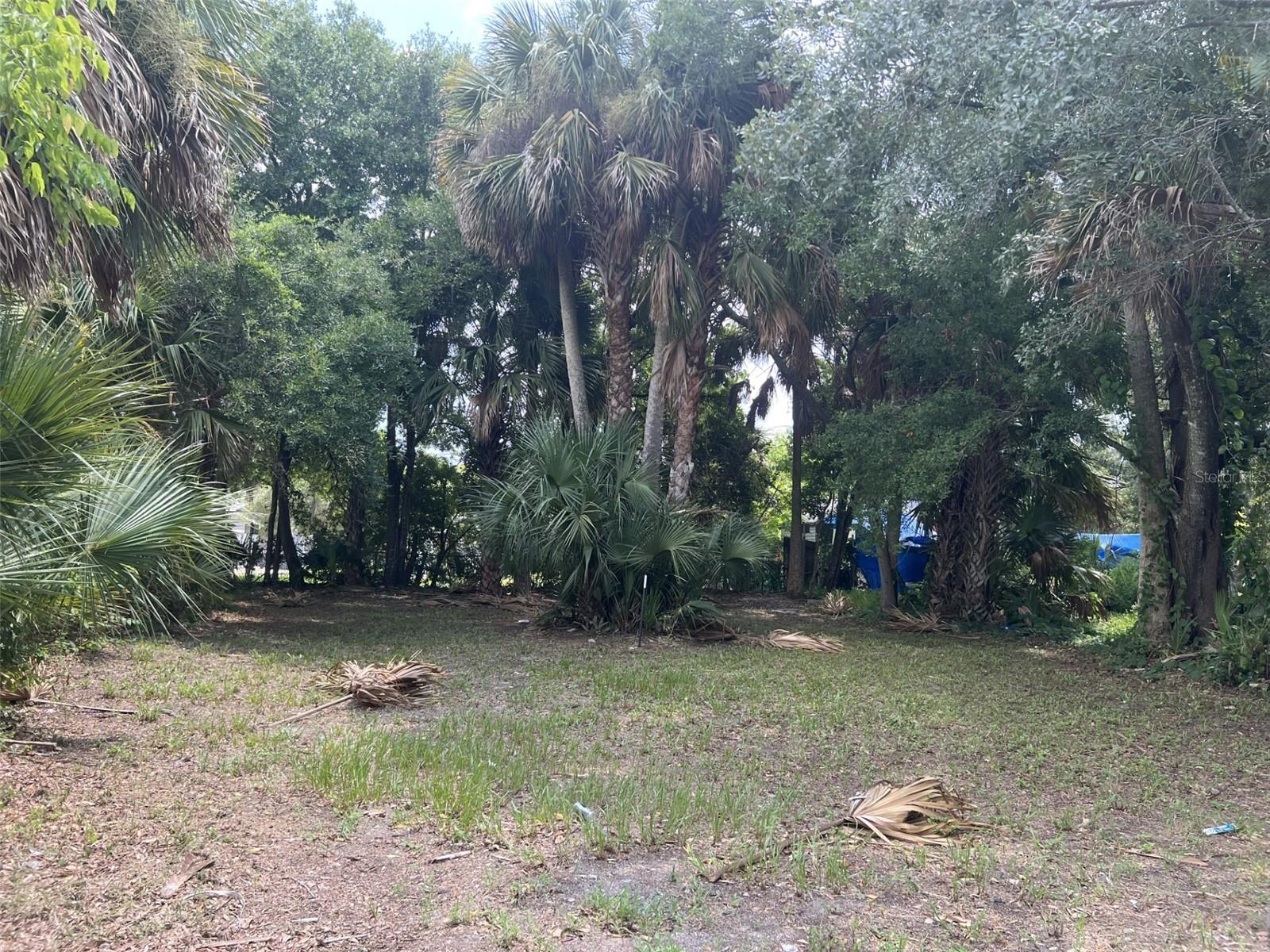Centrally located lot that has been completely cleared, located directly in downtown Daytona Beach, just a short walk or bike ride to Bethune-Cookman University, the local community center, businesses and restaurants, and public transportation. Opportunity may exist for buyer to qualify with a lender and builder for a small down payment and build their own home. Just a few blocks from Nova Road and a short drive to ISB, so you're very close to the central area of commerce for Daytona, yet on a quiet street. All information taken from the tax record, and while deemed reliable, cannot be guaranteed.