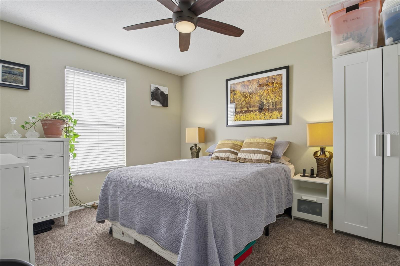 PALM COVE PH 02 - Residential