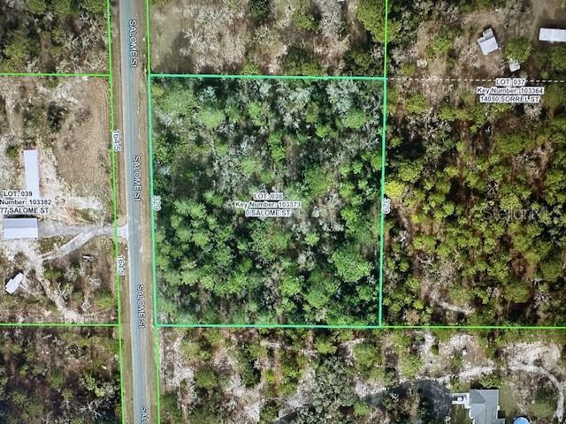 GULF FLORIDA HIGHLANDS - Land