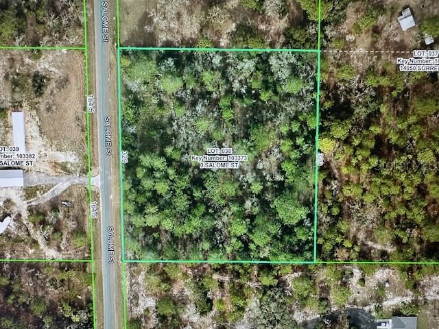 GULF FLORIDA HIGHLANDS - Land