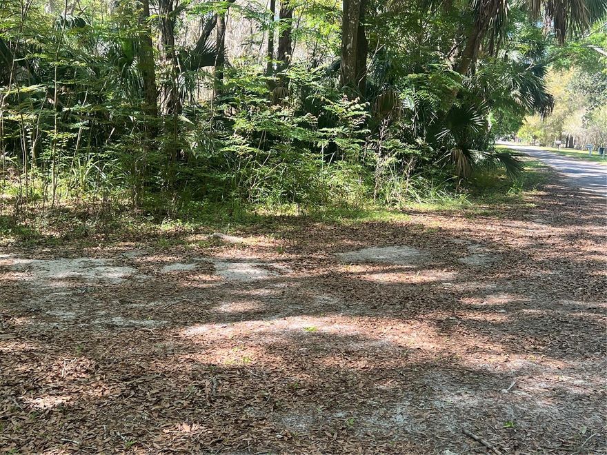 Rare investment opportunity in Williston, FL! This 0.23-acre parcel is officially listed as vacant land on the public record, but it includes an old general store and a small brick shed. Both structures are in dilapidated condition and will require work — the main building may need to be torn down or renovated. The land itself needs leveling and cleanup, making it ideal for an investor or developer looking for a project with strong potential.
Conveniently located not far from Gainesville, this property offers a great location in a quiet, accessible area. With some effort, this parcel could be a significant return on investment. Buyer to verify all utilities and property details.