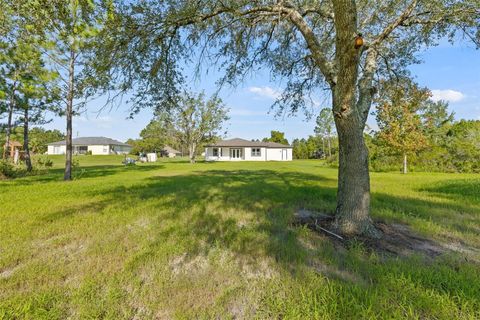 A home in WESLEY CHAPEL