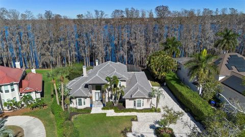 A home in ORLANDO