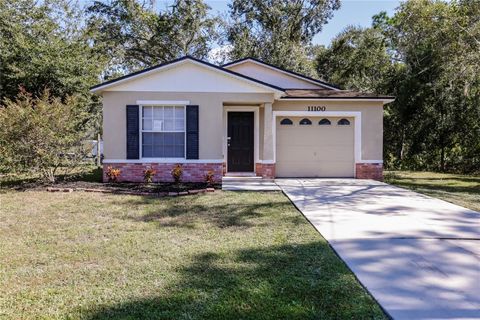 Photo of 11100 Bounty Street, New Port Richey, FL 34654 (MLS # TB8446403)