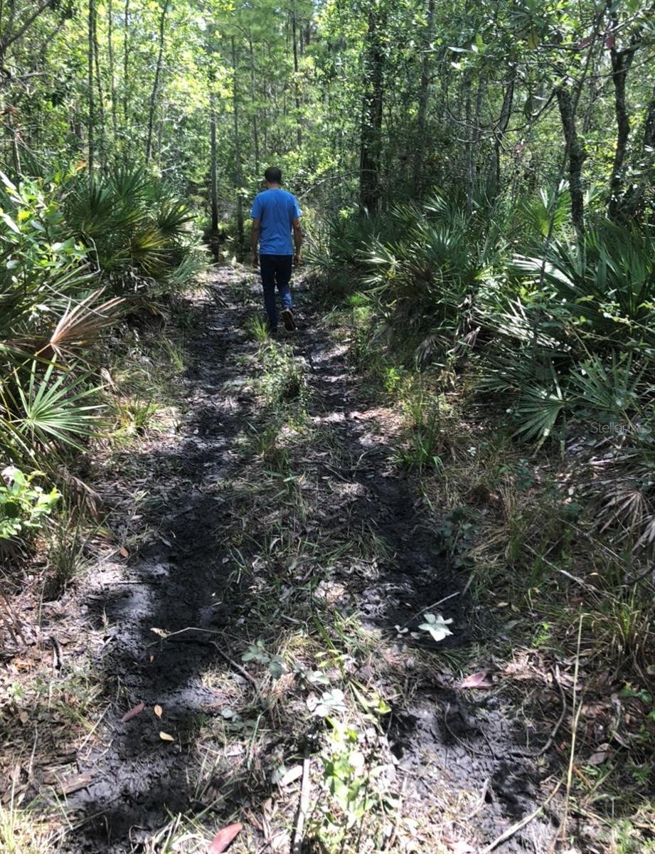 DELTONA LAND & TIMBER - Land