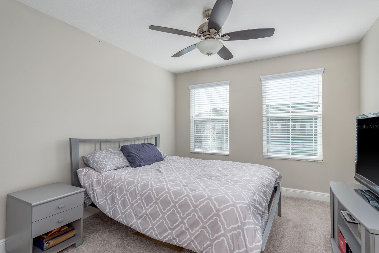 TOWNS AT BELLEAIR GROVE - Residential