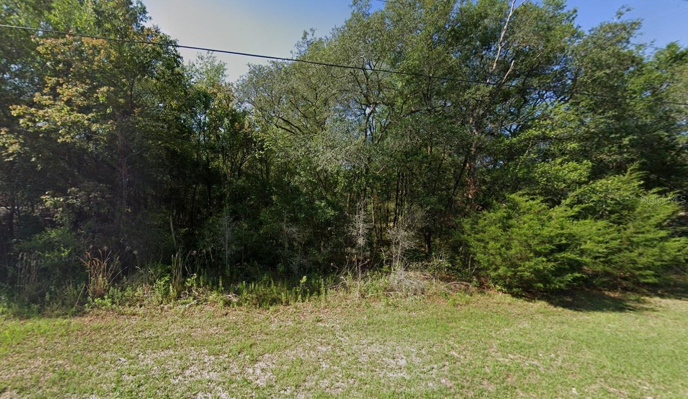 FOREST LAKE NORTH - Land