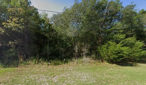 Tiny photo for 658 E La Salle Street, Hernando, FL 34442 (MLS # A4688589)