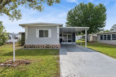 Photo of 511 Flamingo Lane, Osteen, FL 32764 (MLS # O6394757)