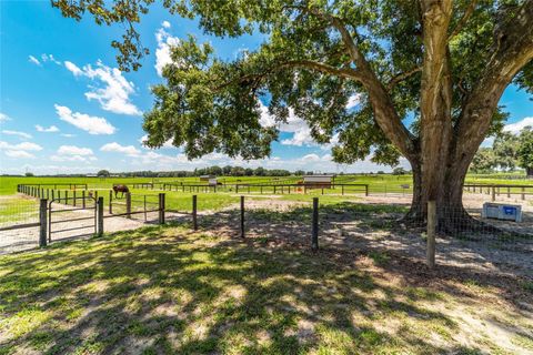 Tiny photo for 1427 NW 102nd Boulevard, Wildwood, FL 34785 (MLS # OM705997)