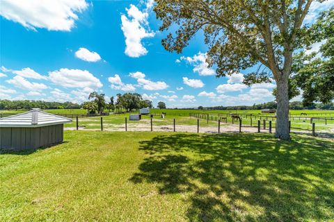 Tiny photo for 1427 NW 102nd Boulevard, Wildwood, FL 34785 (MLS # OM705997)