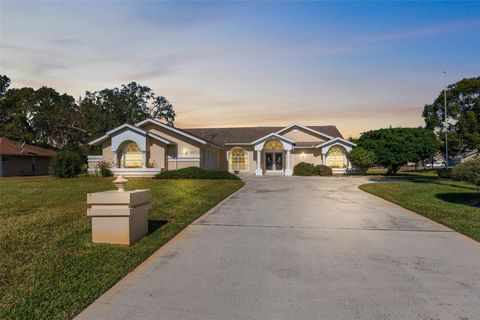 A home in SPRING HILL