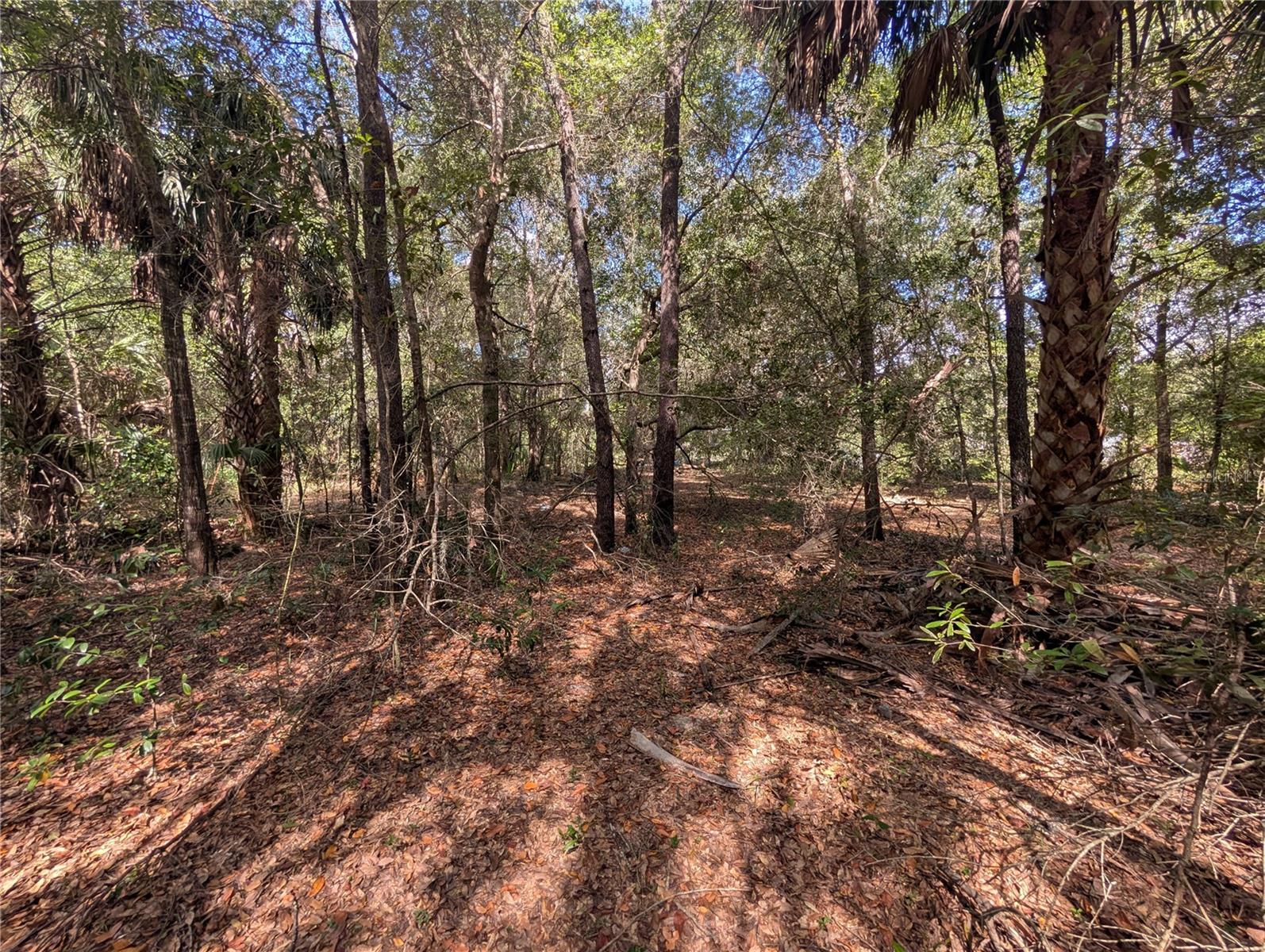 LAKE ROUSSEAU ACRES UNREC SUB - Land