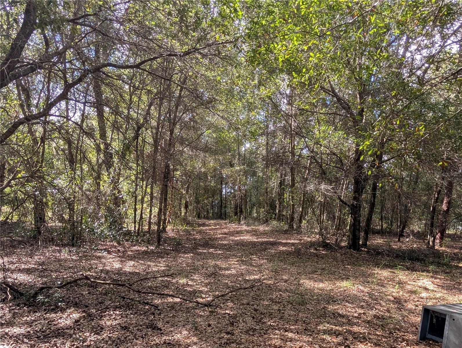 LAKE ROUSSEAU ACRES UNREC SUB - Land