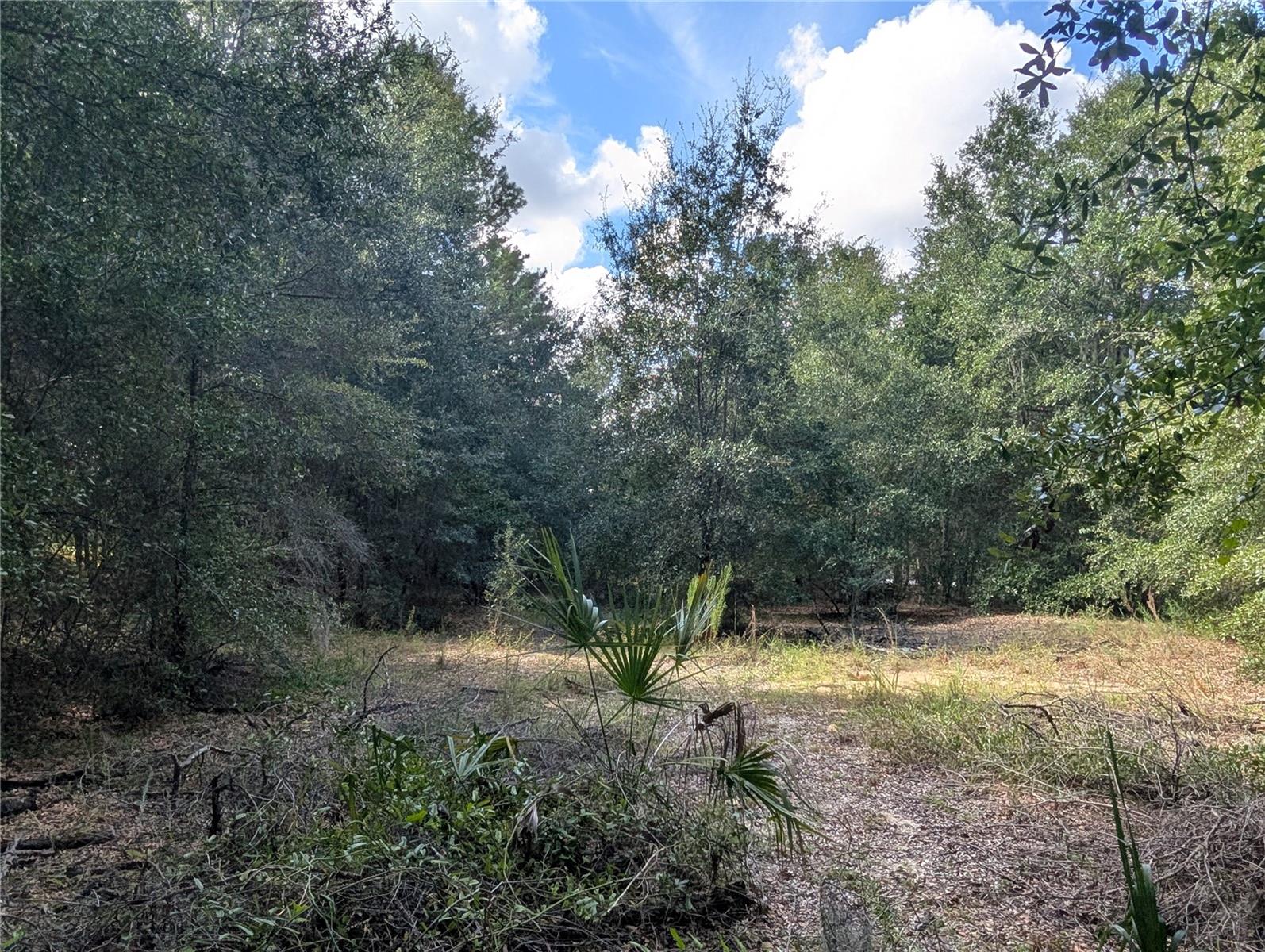 LAKE ROUSSEAU ACRES UNREC SUB - Land