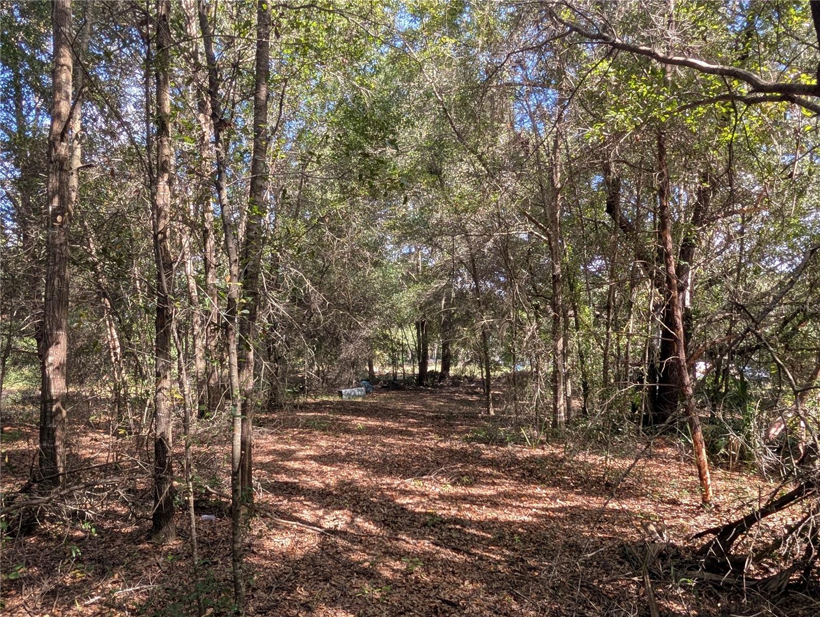 LAKE ROUSSEAU ACRES UNREC SUB - Land