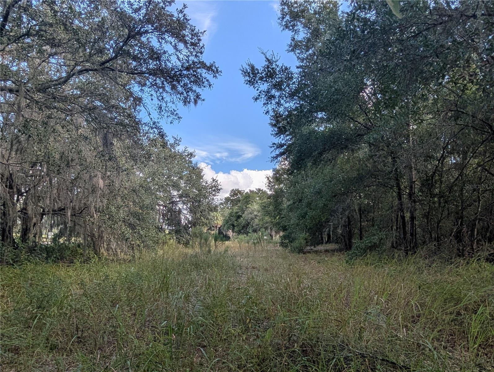 LAKE ROUSSEAU ACRES UNREC SUB - Land