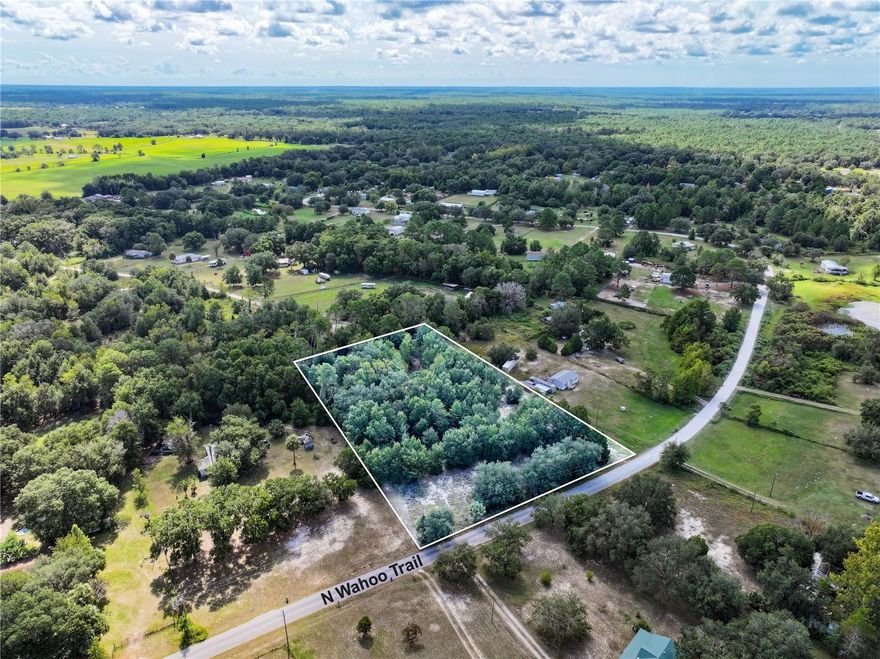 Escape to the peaceful charm of Dunnellon, Florida, with this beautiful 2.7-acre parcel offering endless possibilities. Nestled in a quiet, natural setting, this property provides the perfect opportunity to build your dream home or place a mobile home, surrounded by the beauty of Florida’s Nature Coast. Located in an X Flood Zone, no flood insurance is required, giving you peace of mind and lower long-term costs. Electricity is available nearby, and the land offers ample space for privacy, a garden, a workshop, or even a small hobby farm.

Dunnellon is a picturesque small town known for its rivers, outdoor recreation, and welcoming community. Enjoy easy access to the famous Rainbow River, where you can kayak, tube, paddleboard, or swim in crystal-clear spring water. The nearby Withlacoochee River also offers excellent fishing and boating opportunities, making this a paradise for nature lovers.

Convenience is close at hand, with Winn-Dixie and Walmart Supercenter just a short drive away for groceries and essentials. Dunnellon’s historic downtown features charming local shops, coffee spots like Sweetie’s Café, and popular dining options such as Blue Gator Tiki Bar & Restaurant and The Front Porch Restaurant & Pie Shop. For schools, families are served by Dunnellon Elementary School, Dunnellon Middle School, and Dunnellon High School, all part of the Marion County School District.

Medical services are easily accessible, with AdventHealth Ocala and Bravera Health Seven Rivers in nearby Crystal River, as well as local clinics in Dunnellon for everyday healthcare needs. For travel, Ocala International Airport is about 35 minutes away, while Gainesville Regional Airport is approximately an hour’s drive.

The property offers convenient access to major routes, including US Highway 41, County Road 484, and State Road 40, connecting you quickly to Ocala, Crystal River, Hernando, and Inverness. Whether you’re looking to build a private retreat, a seasonal getaway, or a full-time residence, this Dunnellon property combines country serenity with proximity to modern conveniences. Enjoy the best of Florida living—where the rivers run clear, the air is fresh, and your possibilities are endless.