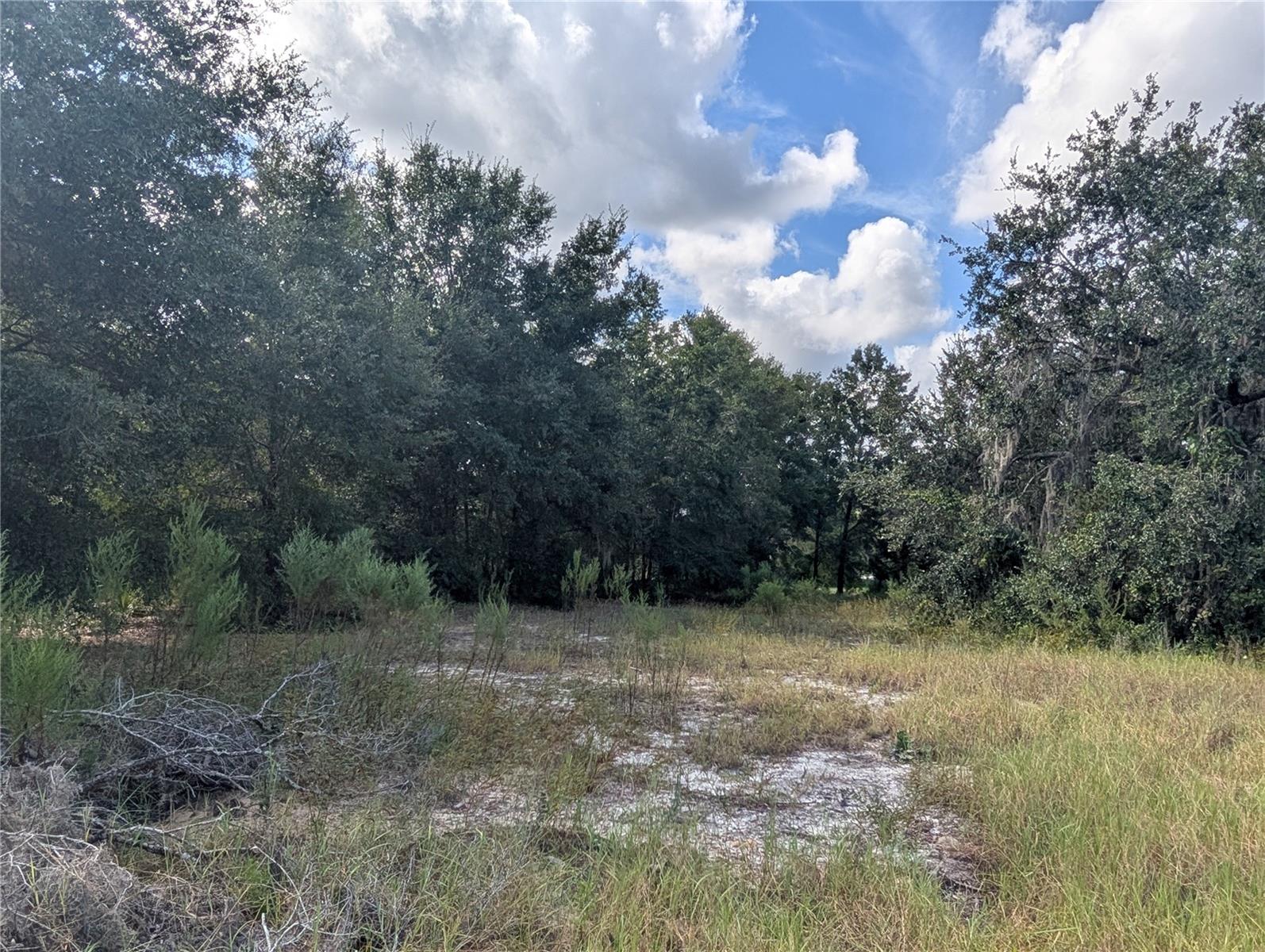 LAKE ROUSSEAU ACRES UNREC SUB - Land