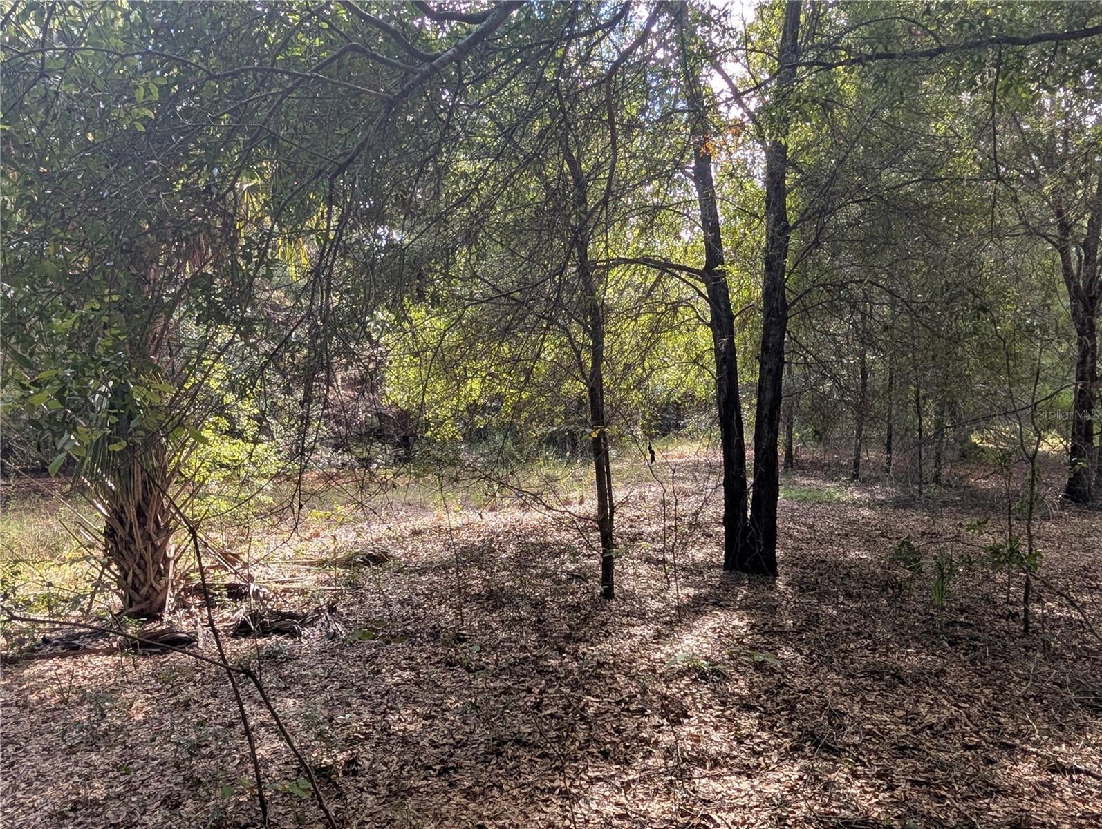 LAKE ROUSSEAU ACRES UNREC SUB - Land