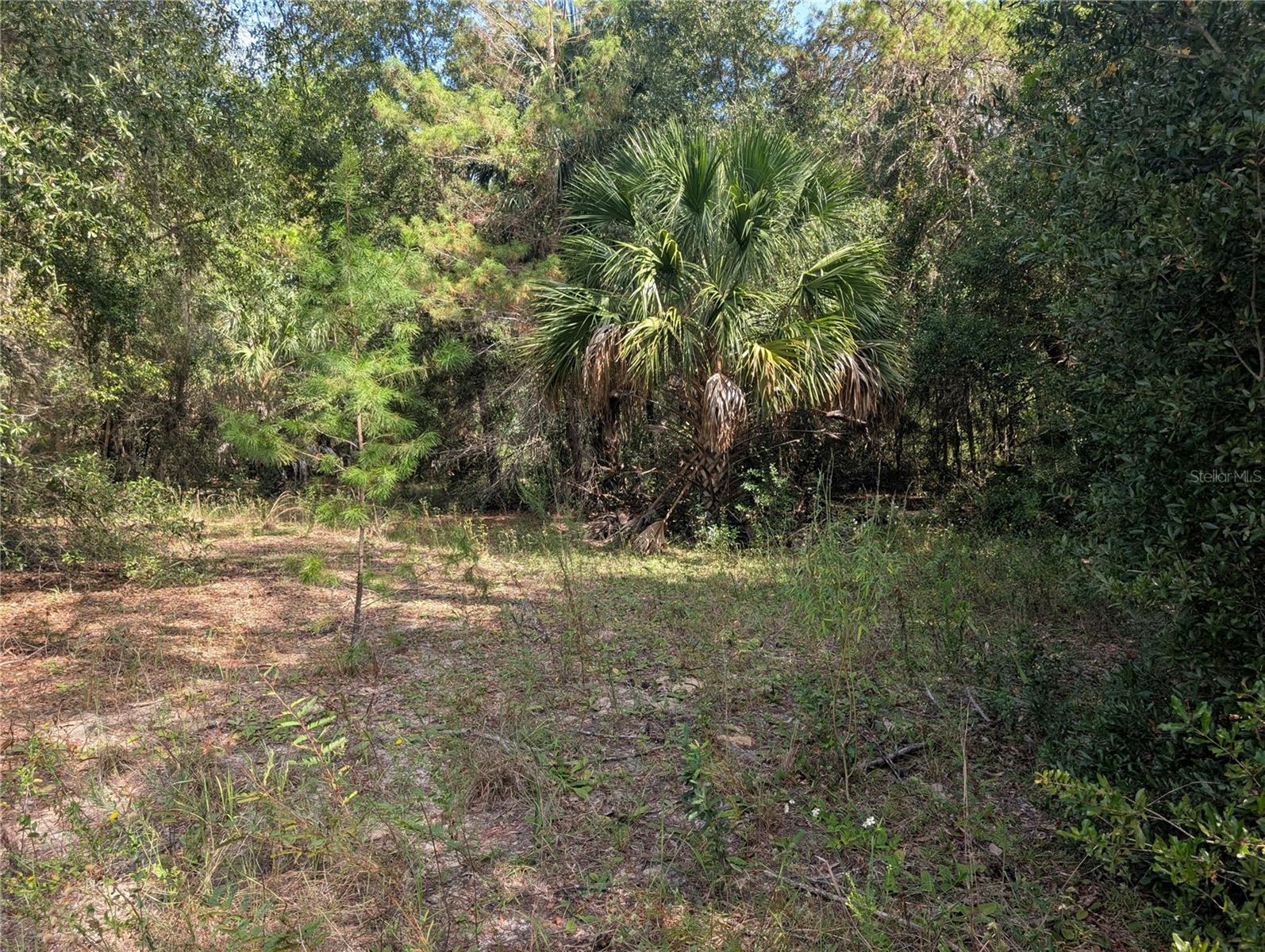 LAKE ROUSSEAU ACRES UNREC SUB - Land