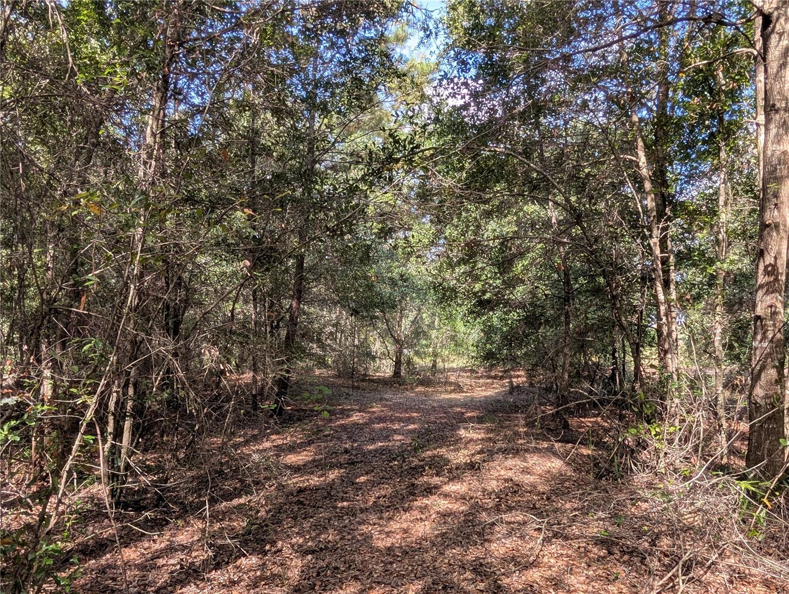 LAKE ROUSSEAU ACRES UNREC SUB - Land