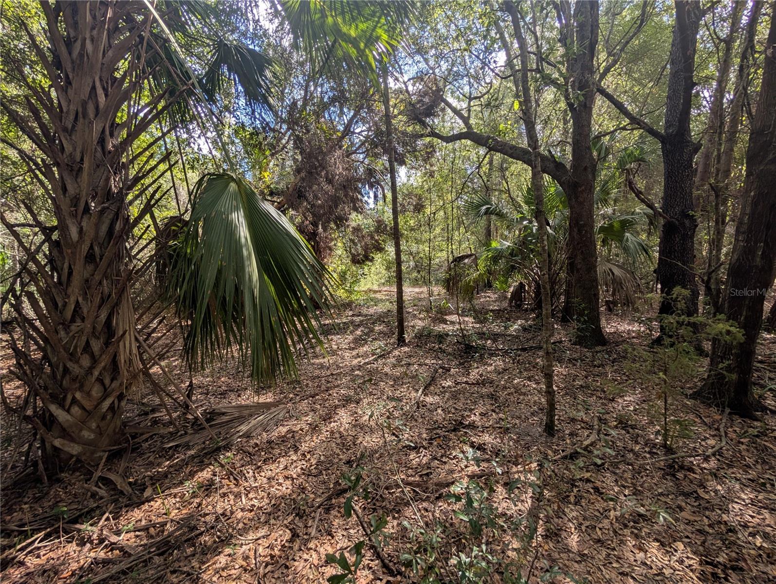 LAKE ROUSSEAU ACRES UNREC SUB - Land