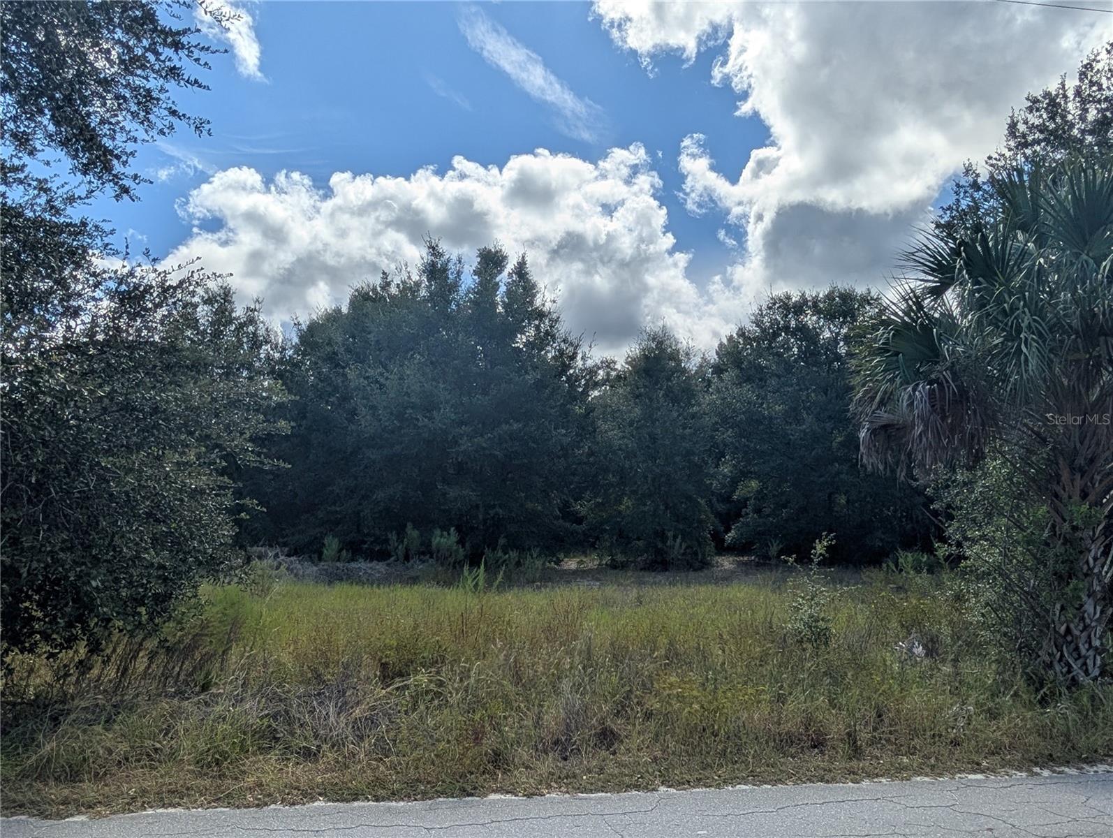 LAKE ROUSSEAU ACRES UNREC SUB - Land
