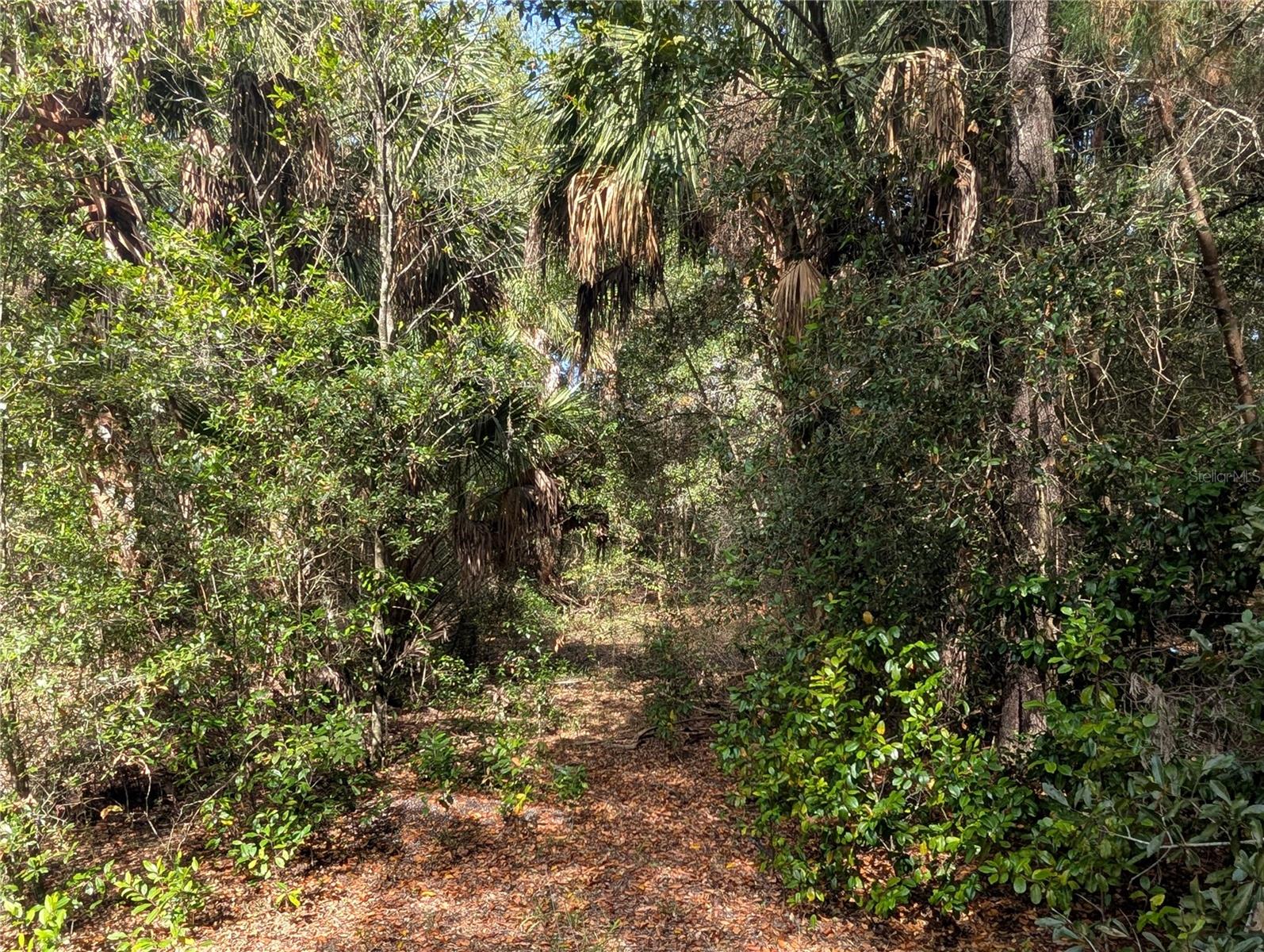LAKE ROUSSEAU ACRES UNREC SUB - Land