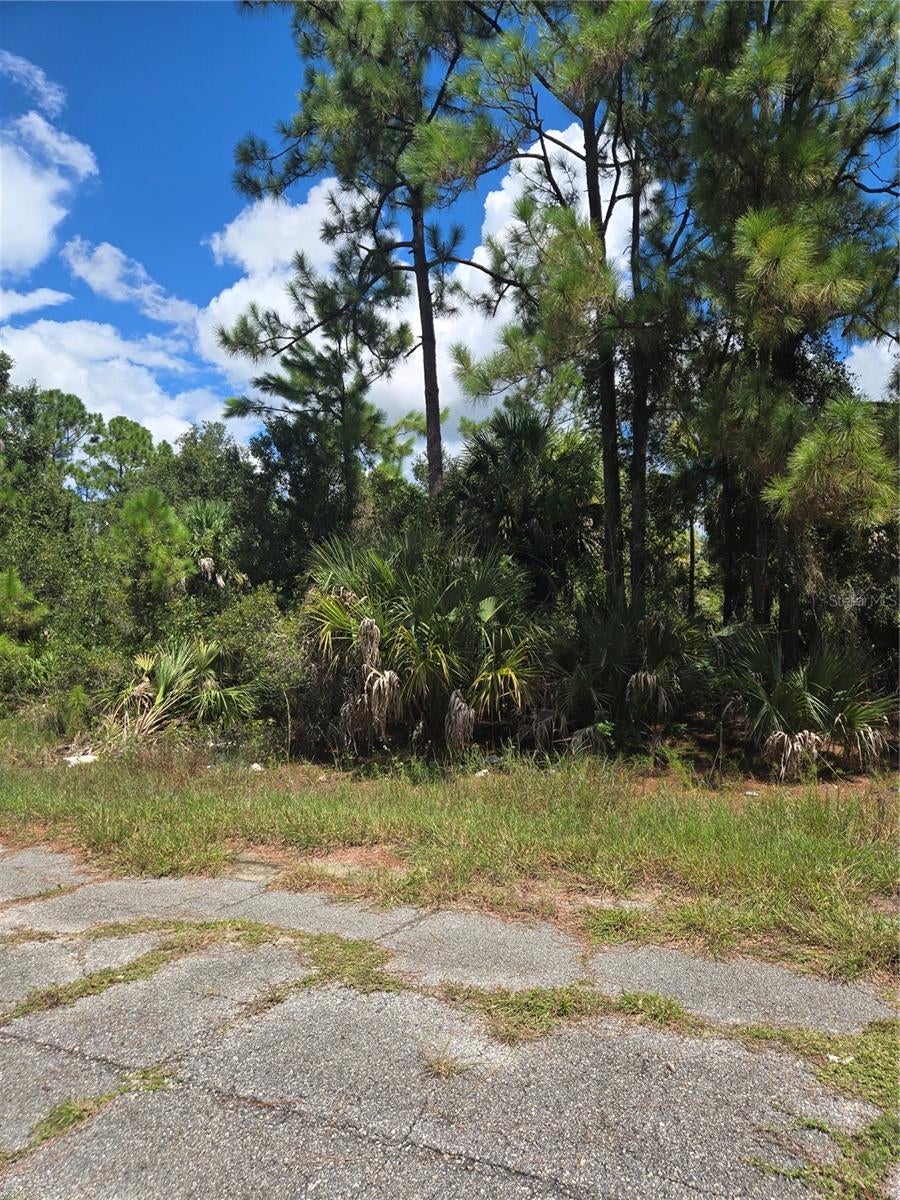 NANCE STREET, NORTH PORT, FL, 34288 1 NANCE STREET