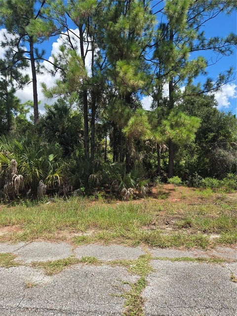 Photo of Nance Street, North Port, FL 34288 (MLS # C7530441)