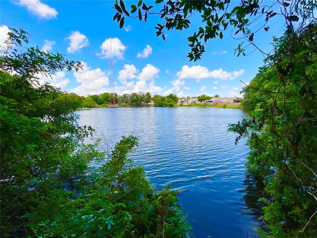 Photo of 1145 7th Street N, Safety Harbor, FL 34695 (MLS # TB8503941)